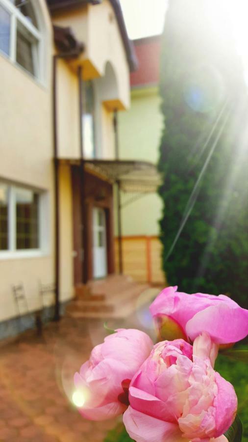 Vila Alfa Dumbrava Sibiu Exterior foto